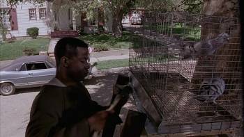 Screenshot 1 from Tyson (Full Movie)