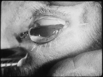 Screenshot 3 from Un chien andalou (Full Movie)
