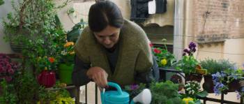 Screenshot 2 from Una jirafa en el balcón (Full Movie)