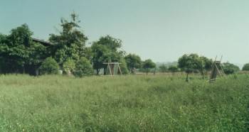 Screenshot 2 from Uncle Boonmee Who Can Recall His Past Lives (Full Movie)