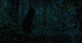 Screenshot 3 from Uncle Boonmee Who Can Recall His Past Lives (Full Movie)