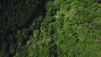 Screenshot 1 from Uncovering Fukushima (Full Movie)