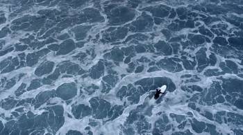 Screenshot 1 from Under an Arctic Sky (Full Movie)