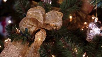 Screenshot 1 from Undercover Christmas (Full Movie)