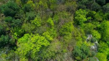 Screenshot 2 from Untamed Romania (Full Movie)
