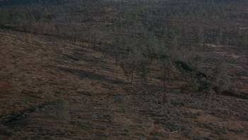 Screenshot 2 from Uphill All the Way (Full Movie)