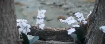Screenshot 2 from Upstream Color (Full Movie)