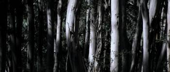 Screenshot 1 from Van Diemen's Land (Full Movie)