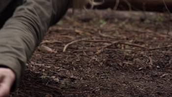 Screenshot 2 from Vanished in Yosemite (Full Movie)
