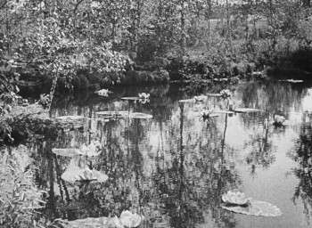 Screenshot 1 from Vasilisa the Beautiful (Full Movie)
