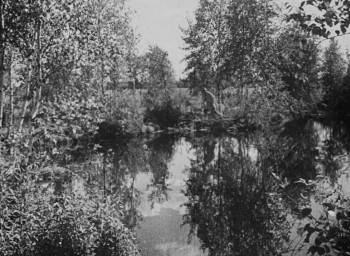 Screenshot 2 from Vasilisa the Beautiful (Full Movie)