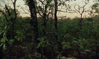 Screenshot 1 from Vernon, Florida (Full Movie)
