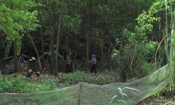 Screenshot 1 from Viet and Nam (Full Movie)