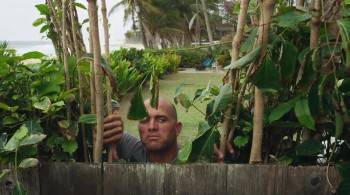 Screenshot 2 from View from a Blue Moon (Full Movie)