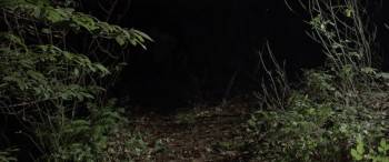 Screenshot 1 from Viking Legacy (Full Movie)
