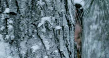 Screenshot 1 from Vikingdom (Full Movie)