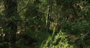 Screenshot 2 from Vincent (Full Movie)
