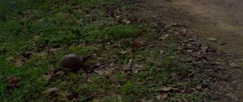 Screenshot 2 from Viridian (Full Movie)