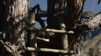 Screenshot 2 from Waidmannsdank (Full Movie)