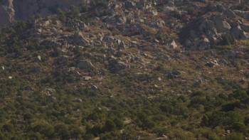 Screenshot 2 from Walking with the Tall Whites: Aftermath (Full Movie)