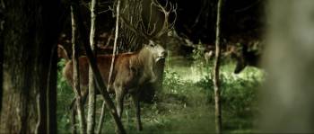Screenshot 3 from Warchief (Full Movie)