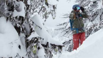 Screenshot 3 from Warren Miller's Face of Winter (Full Movie)