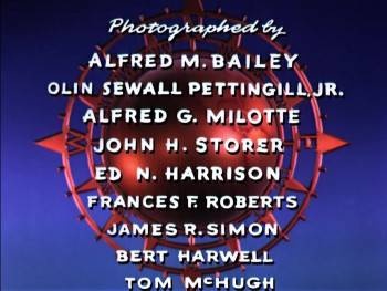 Screenshot 1 from Water Birds (Full Movie)