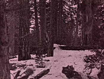Screenshot 3 from Where the North Begins (Full Movie)