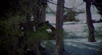Screenshot 1 from White Fang (Full Movie)