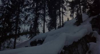 Screenshot 2 from White Fang (Full Movie)
