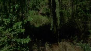 Screenshot 1 from White Ghost (Full Movie)