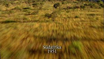 Screenshot 2 from White Lion (Full Movie)