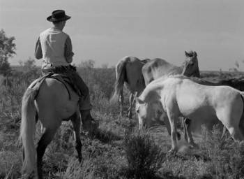 Screenshot 3 from White Mane (Full Movie)