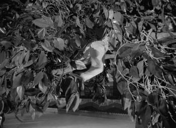 Screenshot 1 from Who Done It? (Full Movie)