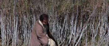 Screenshot 1 from Wholly Moses! (Full Movie)