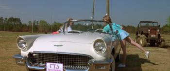 Screenshot 3 from Wild America (Full Movie)