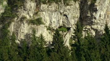 Screenshot 3 from Wild Slovakia (Full Movie)