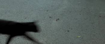 Screenshot 2 from Wild Witch (Full Movie)