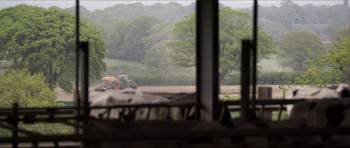 Screenshot 3 from Wilding (Full Movie)