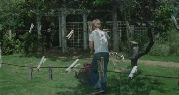 Screenshot 2 from Willard (Full Movie)