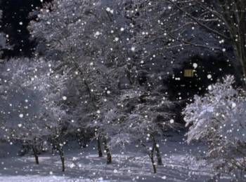 Screenshot 3 from Winnie the Pooh: A Very Merry Pooh Year (Full Movie)