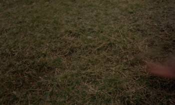 Screenshot 1 from Witchery (Full Movie)