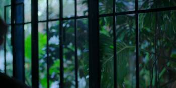 Screenshot 1 from With You in the Future (Full Movie)