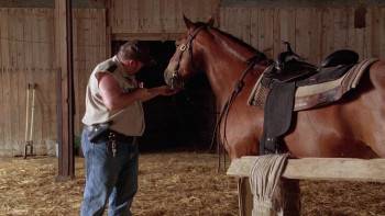 Screenshot 2 from Witless Protection (Full Movie)