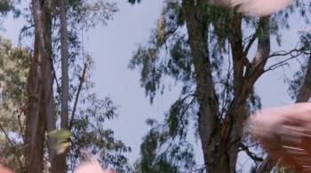 Screenshot 3 from Wizards of the Lost Kingdom (Full Movie)