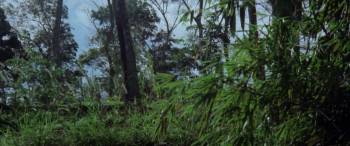 Screenshot 1 from Wolf (Full Movie)