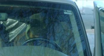 Screenshot 1 from Wolves Against the World (Full Movie)