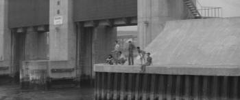 Screenshot 1 from Wolves, Pigs and People (Full Movie)