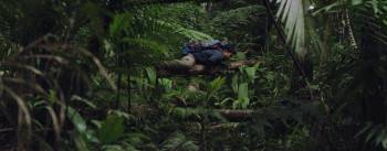 Screenshot 3 from Woman in the Woods (Full Movie)