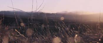 Screenshot 3 from Woman of the Hour (Full Movie)